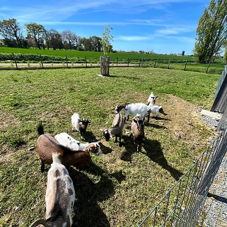 Marie Entre Frehel Et Erquy 3 Plurien